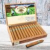 buy joya de nicaragua clasico torpedo cigars box of 25 online europe